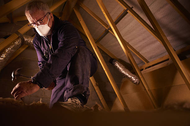 Best Cellulose Insulation in Sapulpa, OK