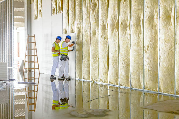 Professional Insulation Contractor in Sapulpa, OK